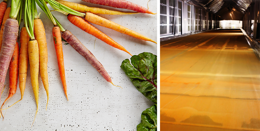 Hvordan tørkes whole food og supermat?
